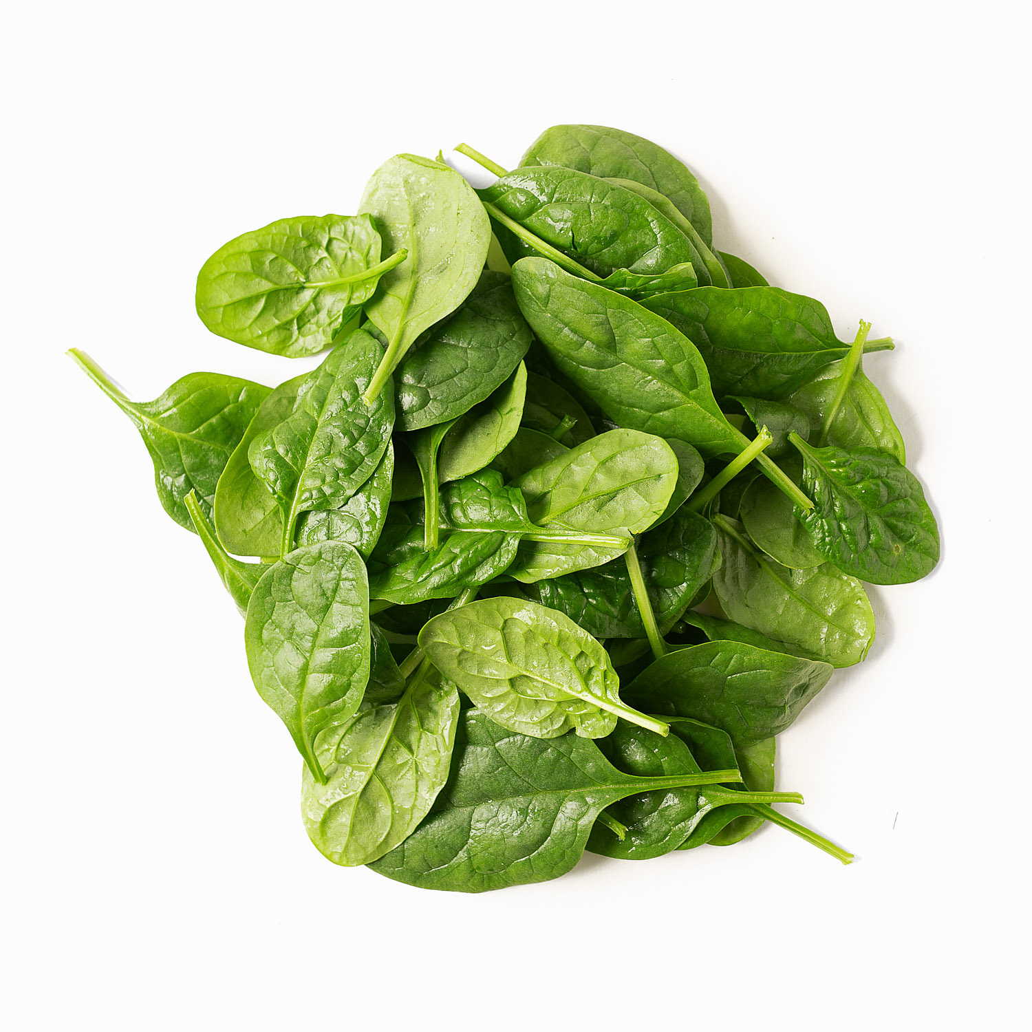 Baby Spinach