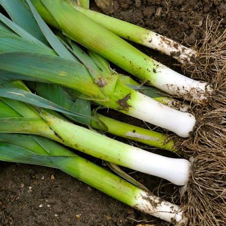 Leeks