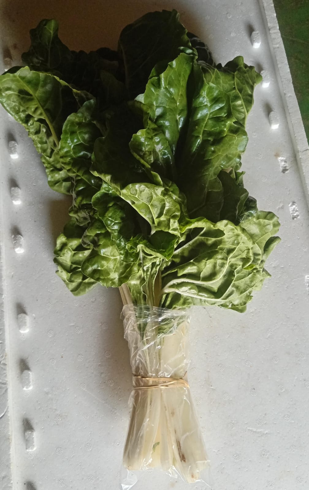 Spinach